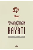 Ravza Yayınları Peygamberimizin Hayatı (s.a.v) thumbnail 1