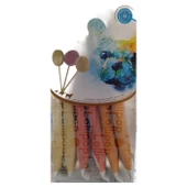 Ranova  Köpek Lolipop 1 Adet 8 Gr - 1