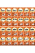 Dreamies Tavuklu Kedi Ödül Bisküvisi 12 x 60 G - 1