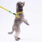 PawStar L16 Cactus Sevk Kayışı - 3