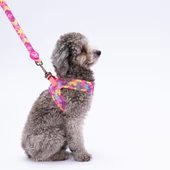 PawStar L18 Rosea Camouflage Sevk Kayışı - 2