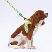 PawStar L21 Avocado Sevk Kayışı - 2