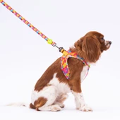 PawStar L29 Monsters Sevk Kayışı thumbnail 2