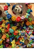 lastikli kedi köpek tokası 20 adet karışık - 2