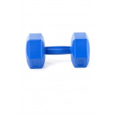 1 kg x 2 adet Plastik Mavi Dambıl (CS-563) - 2