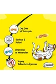 Dreamies Somonlu Kedi Ödül Maması 24x60gr - 2