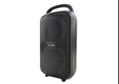 Platoon PL-4584 SD/USB/BLUETOOTH TYPE-C Girişli Bluetooth Speaker - 5