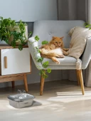 Xenon Smart Akıllı Su Pınarı, Çelik Gövde, Sessiz Çalışma, Wifi Bağlantı thumbnail 8