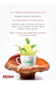 WİNLİFE YEŞİL ÇAY WİNMİX REISHI - 2