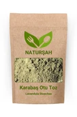 Naturşah Karabaş Otu Toz-Öğütülmüş (Lavandula Stoechas) 1 Kg - 1