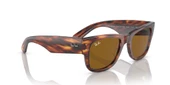 Ray-Ban Rayban 0840S 954/33-51 Güneş Gözlüğü - 6