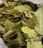 Avokado Yaprağı Otu Çayı 500 gr  ( Doğal Kurutulmuş, Katkısız ) Avakado Yaprağı - 1