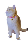 Kedi köpek tasması ayarlanabilir fiyonk detaylı lüx pet aksesuar - 1