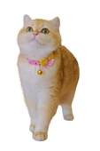 Kedi köpek tasması ayarlanabilir fiyonk detaylı lüx pet aksesuar - 3