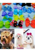 Köpek Toka Karışık 20 Adet Taşlı Lüx Aksesuar Lastikli Toka - 3
