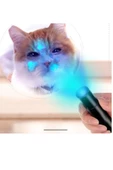 idrar gösteren uv ışıklı büyük boy el feneri ultraviyole kedi köpek mantar - 1