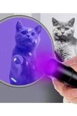 idrar gösteren uv ışıklı büyük boy el feneri ultraviyole kedi köpek mantar - 3