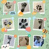 Kedi Köpek Pati İzi Fotoğraf Çerçevesi Seti - 4