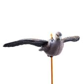 DD.02 Yeşilbaş Ördek Mühresi thumbnail 6