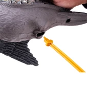 DD.02 Yeşilbaş Ördek Mühresi thumbnail 3