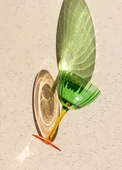 The Mia Ayaklı Cam Dondurma Kasesi Yeşil 240 ml - 2