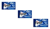 First Sensations Damla Sakızı Aromalı Şekersiz Tatlandırıcılı Sakız 3'lü Paket - 1