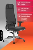 Ergolife SynchroSit 10 Ergonomik Deri ve Fileli Ofis - Yönetici Koltuğu / Çalışma Sandalyesi - 1D1.D.1.333 - 1