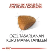 Royal Canin Tüysüz Sphynx Cinsi Yetişkin Kedi Maması 2 Kg - 3