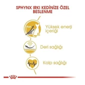 Royal Canin Tüysüz Sphynx Cinsi Yetişkin Kedi Maması 2 Kg - 2