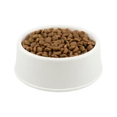 Royal Canin Regular Sensible 33 Hassas Sindirim Sistemi Açık Yetişkin Kedi Maması - 1