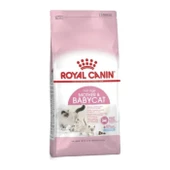 Royal Canin Royal Canin Babycat 2Kg - 1