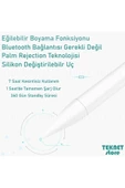 Ipad Mini 6 Uyumlu 2021 Avuç Içi Reddetmeli Dokunmatik Kalem Active Stylus Özel Yazı Çizim Kalemi - 2