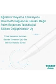 Ipad Pro 12.9 5. Nesil 2021 Active Stylus Özel Yazı / Çizim Kalemi Palm Rejection Dokunmatik Kalem - 5