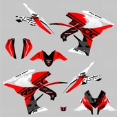 Bajaj Pulsar RS 200  Race Sport Design Sticker Set - 2
