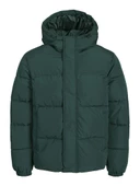 Jack Jones Erkek Essentials Jjebradley Comfort Fit Kapüşonlu Yeşil  Mont  12256974Y - 1