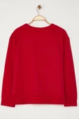 Büyük Beden Tarz Regular Bisiklet Yaka Standart Kol Regular Nakış Detaylı Sweatshirt - 2