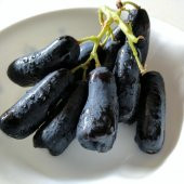 Tüplü Çekirdeksiz Finger Black Üzüm Fidanı (5 adet) - 1