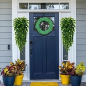 Nettenevime Yapay Çiçek 5dal Sarkan Okaliptus Şimşir Yapay Sarmaşık 70cm - 6