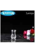Rayan Lavinya Star 6'lı Çay Bardağı - 1