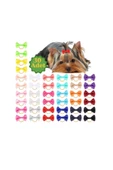 Kedi Köpek Toka Set 30 Adet Karışık Pet Aksesuar Dogtoka2133, One Size - 1