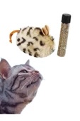 Catnipli kedi fare oyuncağı - 3