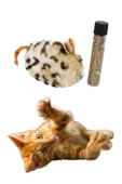 Catnipli kedi fare oyuncağı - 2