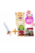 Evcil Hayvan Mini Silikon Meme Uç ve kedi süt tozu hediyeli - 1
