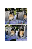 Kedi Köpek Pet Taşıma Çantası - 3