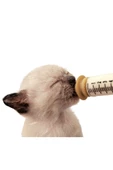 Evcil hayvan mini silikon hamster köpek kedi emzik fake nipple 5adet - 3
