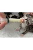 Kedi & Köpek sütle besleme aparatı Silikon Meme ucu Yavru Süt Emzirme Biberon fake nipple 2 ade - 5