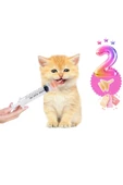 Kedi & Köpek sütle besleme aparatı Silikon Meme ucu Yavru Süt Emzirme Biberon fake nipple 2 ade - 3