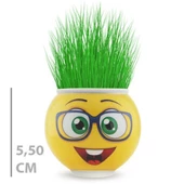 Çim Adam Saksı Emoji Figürlü 1 Adet thumbnail 2