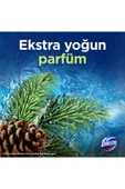 Domestos Wc Blok 5'li Güç Çam Ferahlığı Maksimum Hijyen 3 x 100 gr - 6