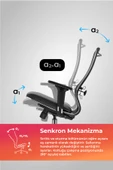 Metta Ergolife SynErgolife Synchrosit 10 Ergonomik Ofis Sandalyesi | Ayarlanabilir Kolçaklı, Fileli, Öğrenci Sandalyesi -211.D.1.3E3 - 3